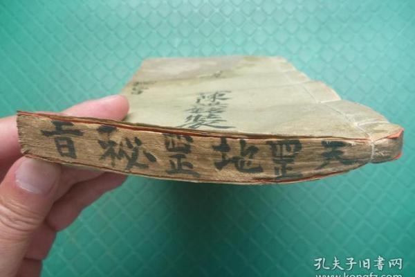 从强格与财富:命理中富贵的玄机 从强格与财富:命理中富贵的玄机