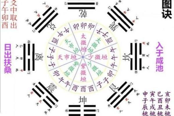 甲子日柱女性的魅力与吸引力 甲子日柱女性的魅力与吸引力