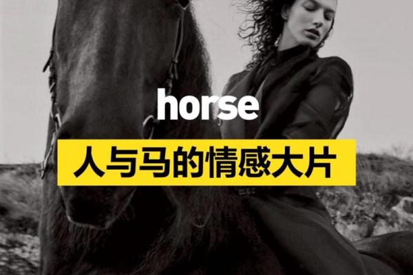 美女与马的完美融合:展现优雅与力量的无缝连接 美女与马的完美融合:展现优雅与力量的无缝连接