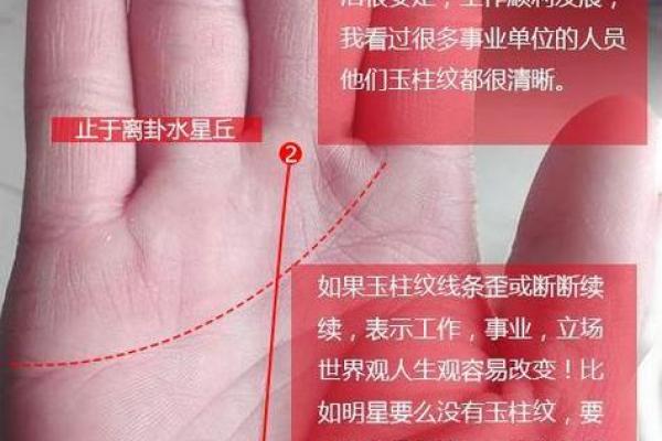 拥有清贵命的人,通常具备哪些独特的运势特点 拥有清贵命的人,通常具备哪些独特的运势特点