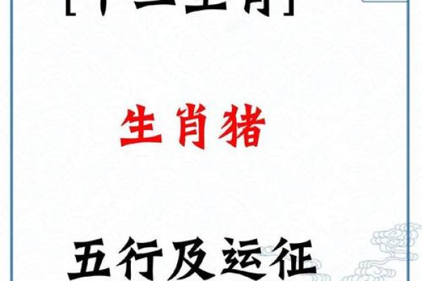 明年是属于哪个生肖年?揭秘的生肖运势 明年是属于哪个生肖年?揭秘的生肖运势