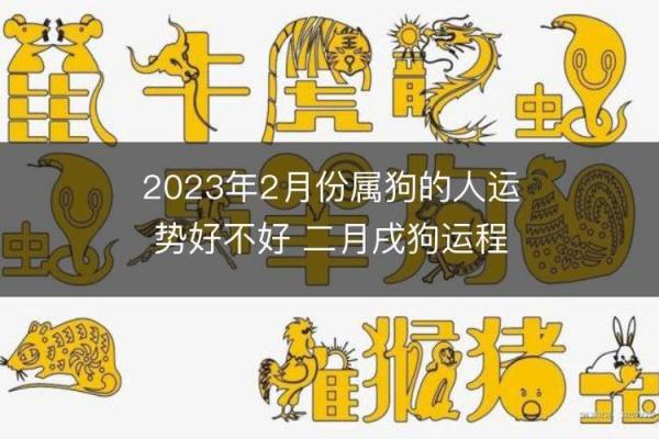 属狗人运势差的原因分析及应对策略 属狗人运势差的原因分析及应对策略