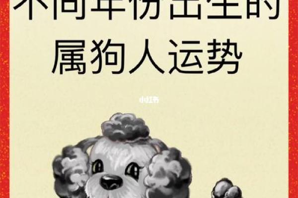 属狗人运势差的原因分析及应对策略 属狗人运势差的原因分析及应对策略