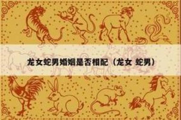 二婚八字合婚:缘分与命运的交织 二婚八字合婚:缘分与命运的交织