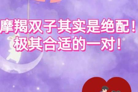 探索魔蝎座的爱情配对：哪些星座最具吸引力