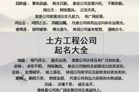 公司起名的关键要素与技巧指南