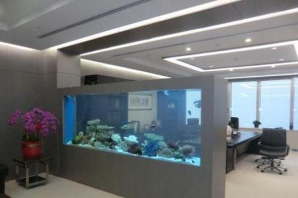 办公环境风水对企业发展的影响 办公环境风水对企业发展的影响