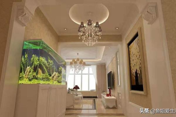 客厅财位的鱼缸摆放风水禁忌与注意事项 客厅财位的鱼缸摆放风水禁忌与注意事项