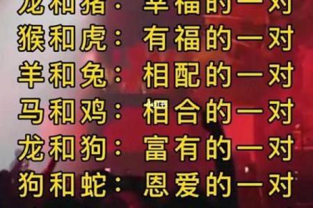 猪猴相配的明星情侣：星座配对背后的爱情密码