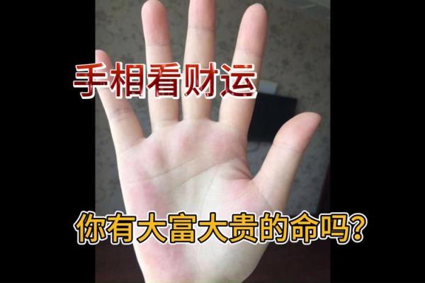 手型能看出富贵命吗?揭秘不同手型与财富运势的关系 手型能看出富贵命吗?揭秘不同手型与财富运势的关系