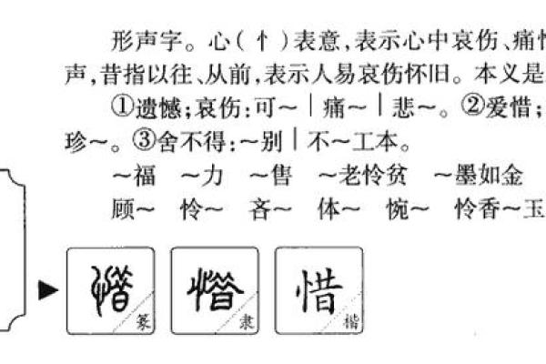 泽希名字背后的美好寓意与文化内涵 泽希名字背后的美好寓意与文化内涵