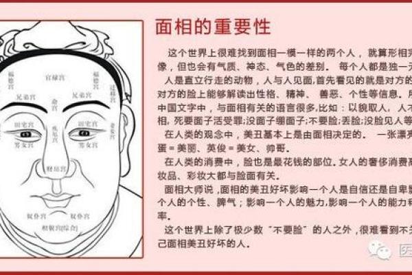 面部风水在健康中的关键作用 面部风水在健康中的关键作用