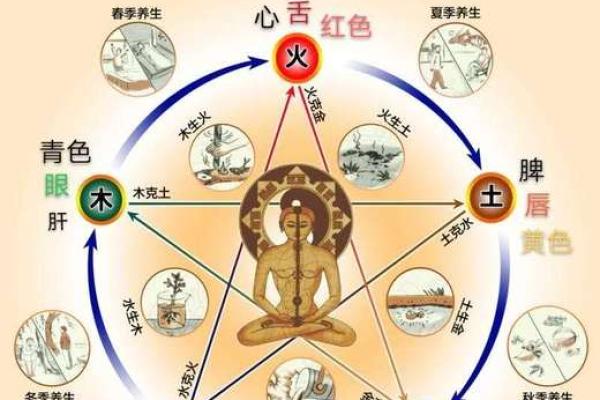 华五行与中国传统文化的深度探讨与应用分析 华五行与中国传统文化的深度探讨与应用分析