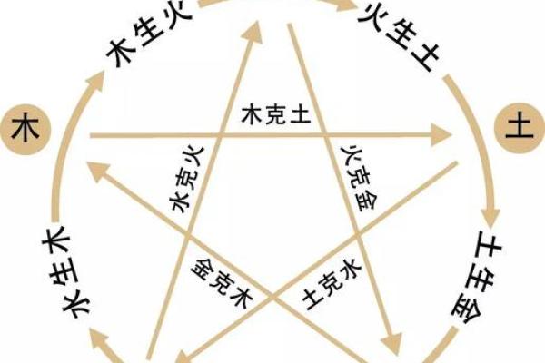 出生的人属什么命与命运解析 出生的人属什么命与命运解析