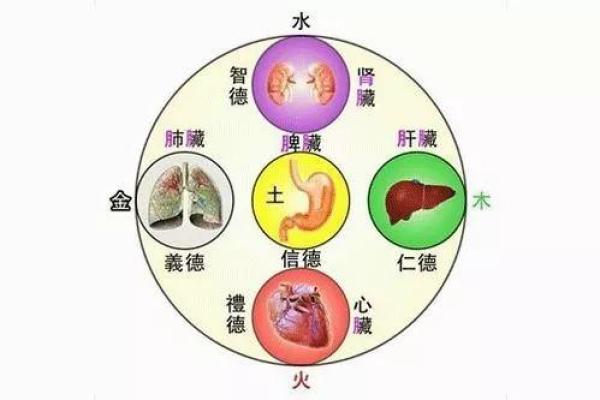 五行理论下的冰箱风水调节秘诀 五行理论下的冰箱风水调节秘诀