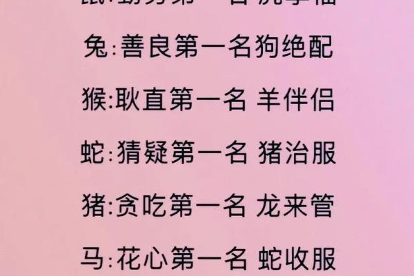 婚姻属相配比解析:如何根据生肖选择合适的伴侣 婚姻属相配比解析:如何根据生肖选择合适的伴侣
