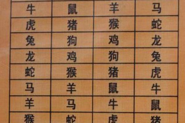 婚姻属相配比解析:如何根据生肖选择合适的伴侣 婚姻属相配比解析:如何根据生肖选择合适的伴侣
