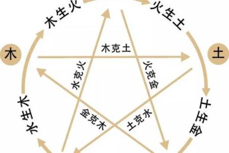 出生的人属什么命与命运解析