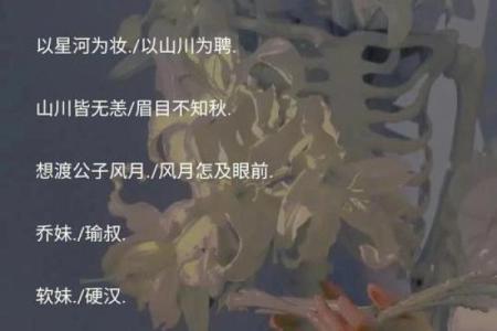 炫舞情侣名字推荐两个字，甜蜜又独特