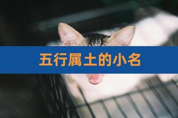 五行缺土男孩乳名推荐,助力平衡命理运势 五行缺土男孩乳名推荐,助力平衡命理运势