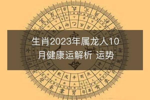 属龙的原因解析及生肖运势分析 属龙的原因解析及生肖运势分析
