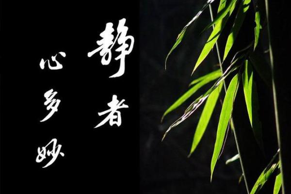 用心字为名字赋予无限可能和深远意义 用心字为名字赋予无限可能和深远意义