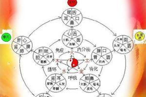 智字的五行属性解析及其在命理中的影响 智字的五行属性解析及其在命理中的影响