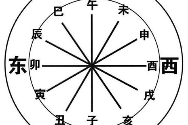 智字的五行属性解析及其在命理中的影响 智字的五行属性解析及其在命理中的影响