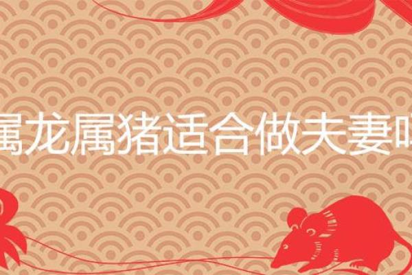属猪摩羯座的最佳配对解析 属猪摩羯座的最佳配对解析