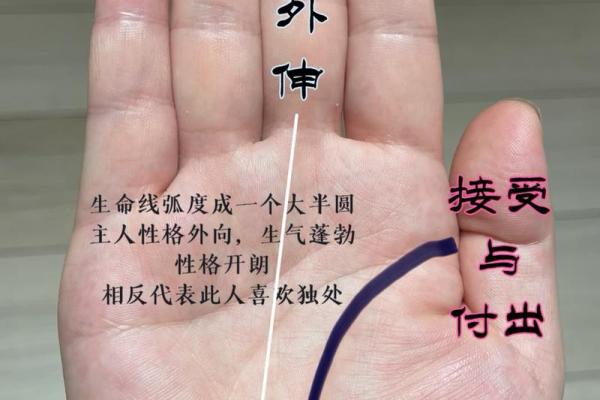 掌纹运势图揭秘你的未来趋势与命运走向 掌纹运势图揭秘你的未来趋势与命运走向
