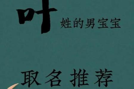 夏姓鸡宝宝命名参考：根据八字与传统文化选名字