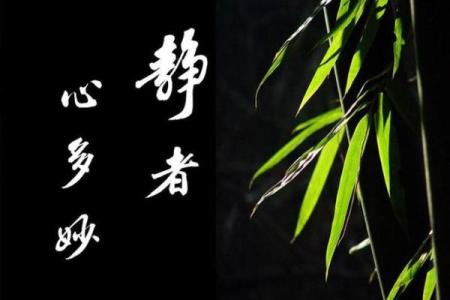 用心字为名字赋予无限可能和深远意义