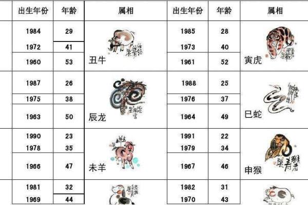 属相大全 的人属什么生肖 属相大全 的人属什么生肖
