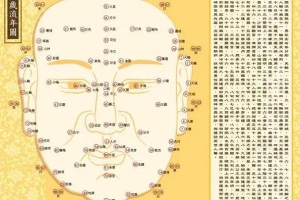 右命与传统命理学的关系详解 右命与传统命理学的关系详解