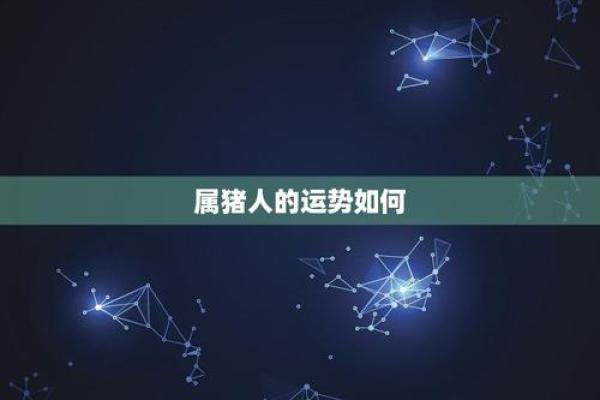 猪年运势预测:财运与事业的最佳布局 猪年运势预测:财运与事业的最佳布局
