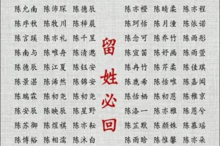 宝宝在线起名字网解析：给宝宝起名的技巧与秘诀