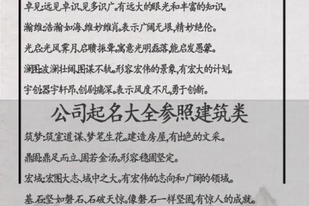 专业起名公司如何为您的企业命名