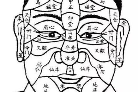 双重桃花八字的婚姻运势分析