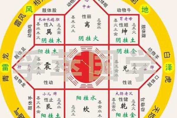 八字元辰的深层含义与命理解析 八字元辰的深层含义与命理解析