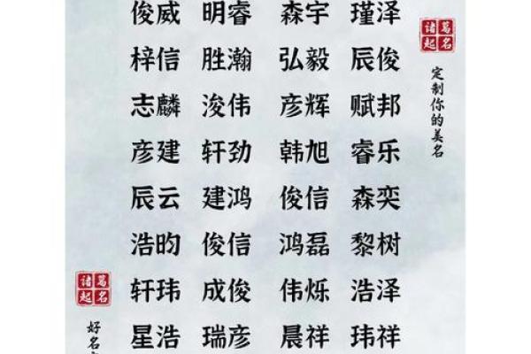 小男孩名字大全 提升气质与品位的完美选择 小男孩名字大全 提升气质与品位的完美选择