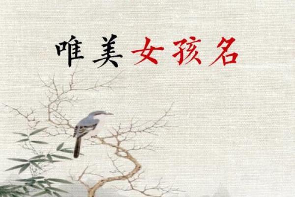适合女孩的兰字名字精选与灵感来源 适合女孩的兰字名字精选与灵感来源