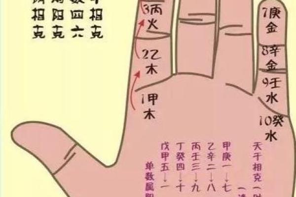 东西南北五行属性解析及其相互关系 东西南北五行属性解析及其相互关系