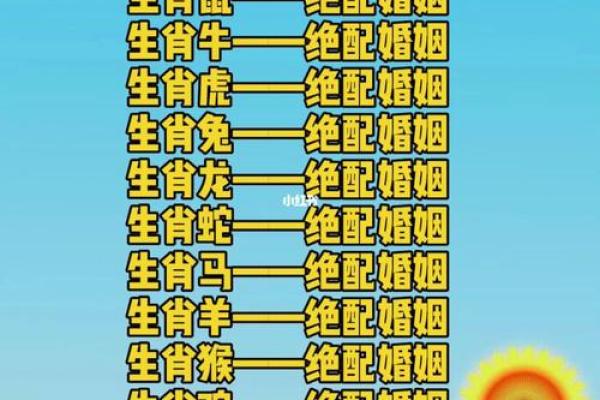探索生肖配对之谜 哪些属相天生相配 探索生肖配对之谜 哪些属相天生相配