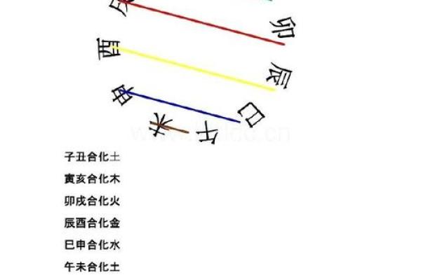 探索生肖配对之谜 哪些属相天生相配 探索生肖配对之谜 哪些属相天生相配