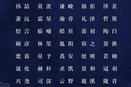 小男孩名字大全 提升气质与品位的完美选择