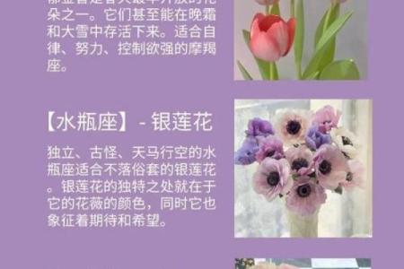 魔蝎座爱情相配指数：哪些星座与你最契合
