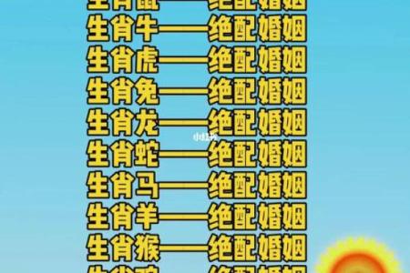 探索生肖配对之谜 哪些属相天生相配
