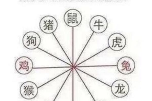 属相相配与命运相克的奇妙联系 属相相配与命运相克的奇妙联系
