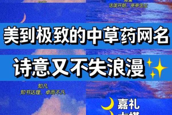 探索名字背后的快乐寓意 探索名字背后的快乐寓意