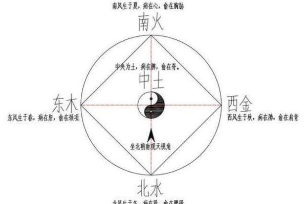 大林木命与命理学中的木元素关系 大林木命与命理学中的木元素关系